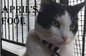 Εβδομαδιαίες Ερωτικές Προβλέψεις Ζωδίων 26 Μαρτίου έως 1 Απριλίου 2018