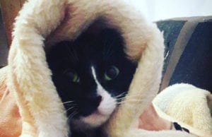 Ημερήσιες Προβλέψεις 7 Μαρτίου 2018