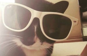 Ερωτικές Προβλέψεις Σαββατοκύριακου  14 και 15 Απριλίου: To Διήμερο της Επιτυχίας