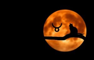 Πανσέληνος στον Ταύρο 24 Οκτωβρίου 2018: Ερωτοσκόπιο Ζωδίων