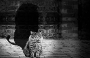 Εξάγωνο Ήλιου-Πλούτωνα 11 Νοεμβρίου: Ημερήσιες Ερωτικές Προβλέψεις