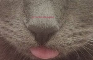 Εβδομαδιαίες Ερωτικές Προβλέψεις Ζωδίων 2 έως 8 Νοεμβρίου 2020