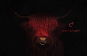 Ο Άρης στον Ταύρο έως 4 Μαρτίου 2021 και η Ερωτική Ζωή των Ζωδίων