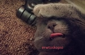 Εβδομαδιαίες Ερωτικές Προβλέψεις Ζωδίων 11 έως 17 Ιανουαρίου 2021