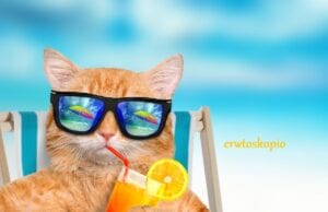 Εβδομαδιαίο Ερωτοσκόπιο Ζωδίων από 28 Ιουνίου έως 4 Ιουλίου 2021